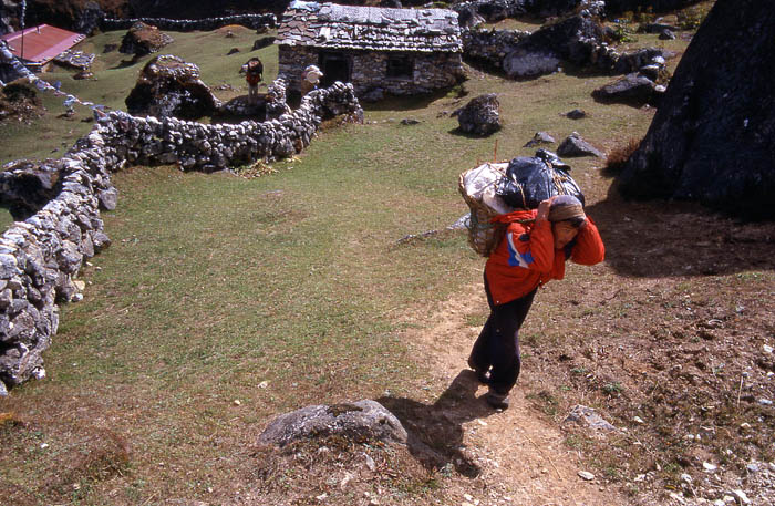 10_Porteur dans la vallee de Gokyo