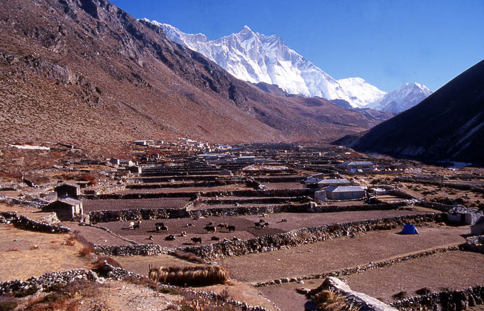 35_Lhotse et Island Peak vus de Dingpoche