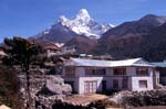 39_L'Ama Dablam vu de Pangpoche