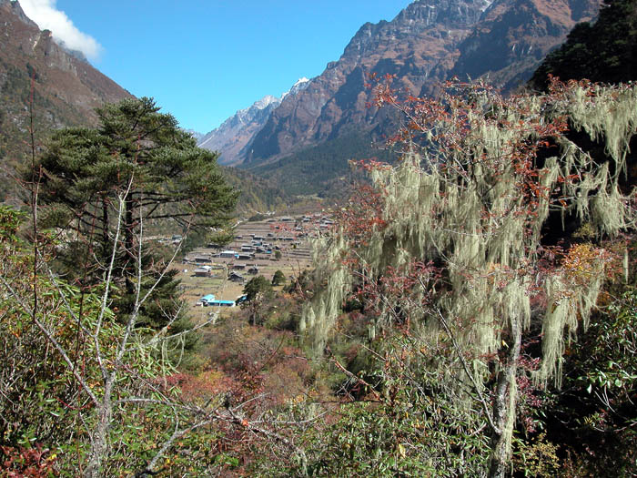 35_ Arrivee a Ghunsa, dernier gros village.