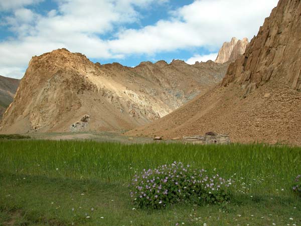 2006-07-27 082048