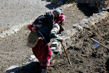 L'enfant sur le dos n'empèche pas de participer aux travaux des champs